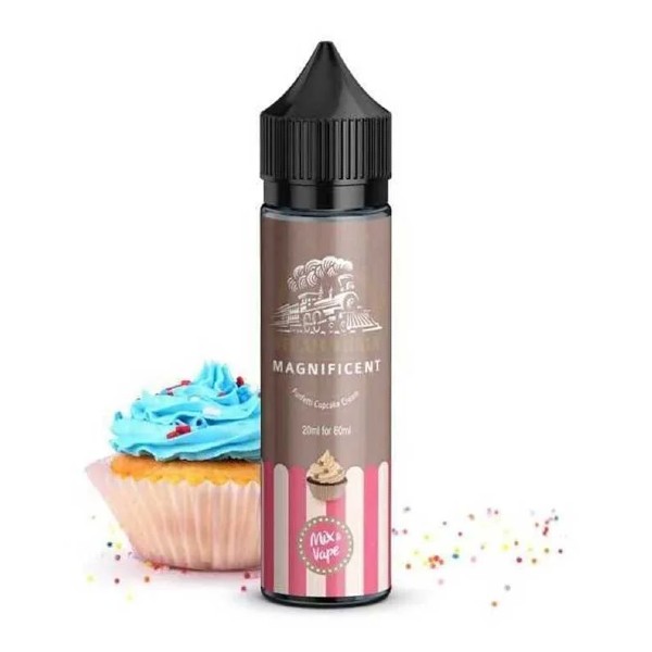Steam Train Magnificent Flavour Shot 60ml